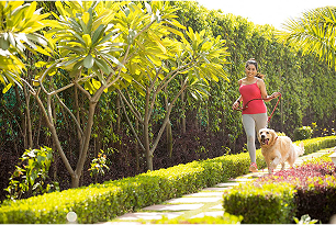 Godrej Eternal Palms